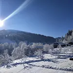 стожари