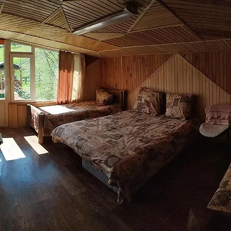 Guest house стожари Verkhovyna