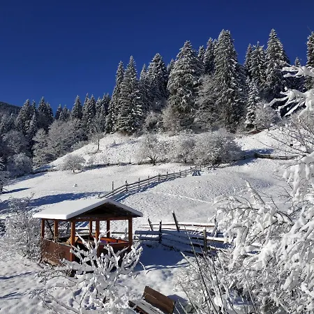 Guest house стожари Verkhovyna