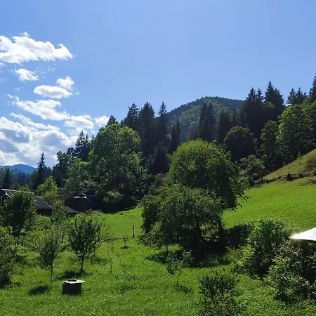 Guest house стожари Verkhovyna