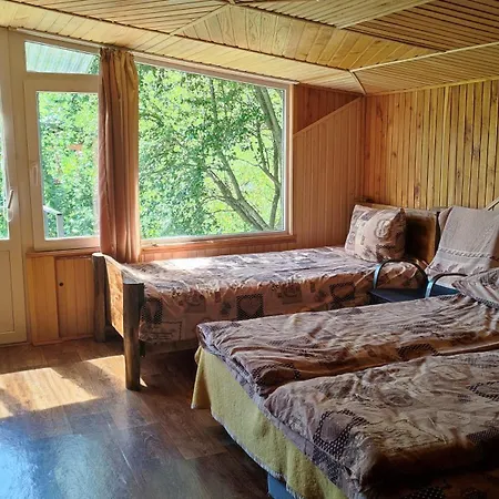 стожари Guest house Verkhovyna