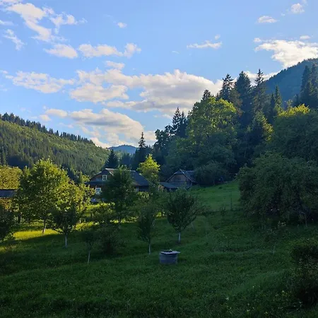 стожари Guest house *