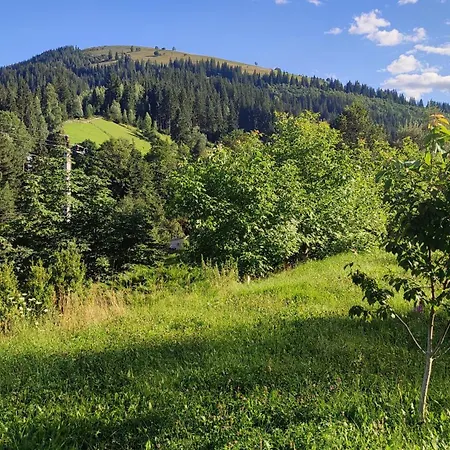 Guest house стожари Verkhovyna